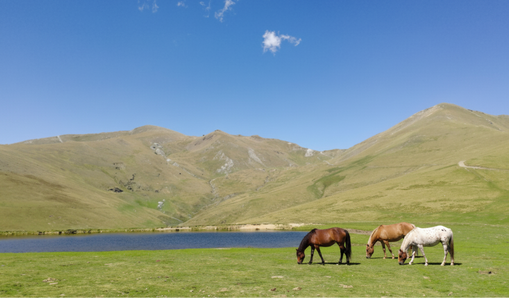 Vistas desde el Collado de Fontlletera en la excursión al Balandrau