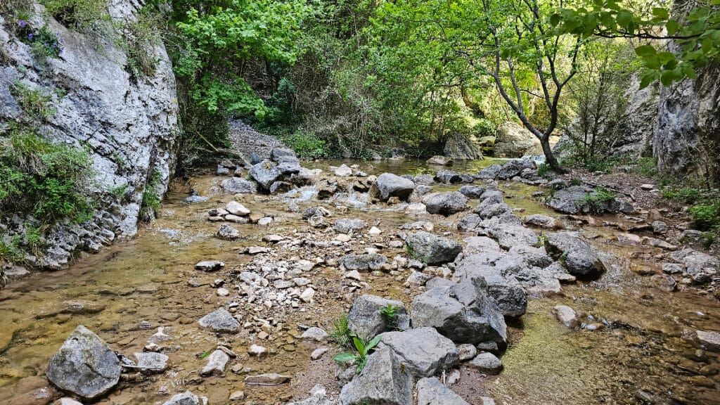 Torrent de la Font del Faig