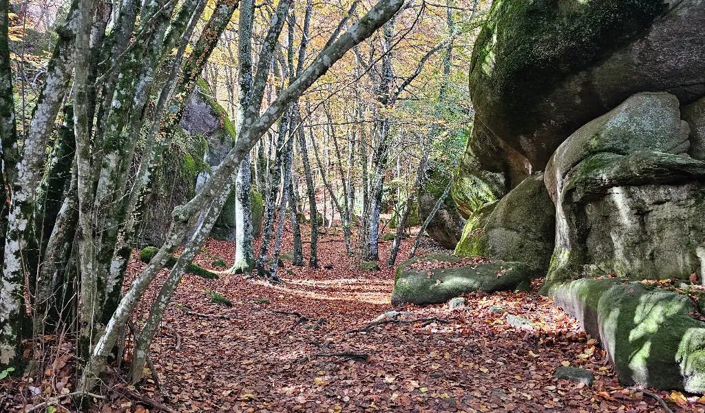 las mejores rutas de senderismo en otoño