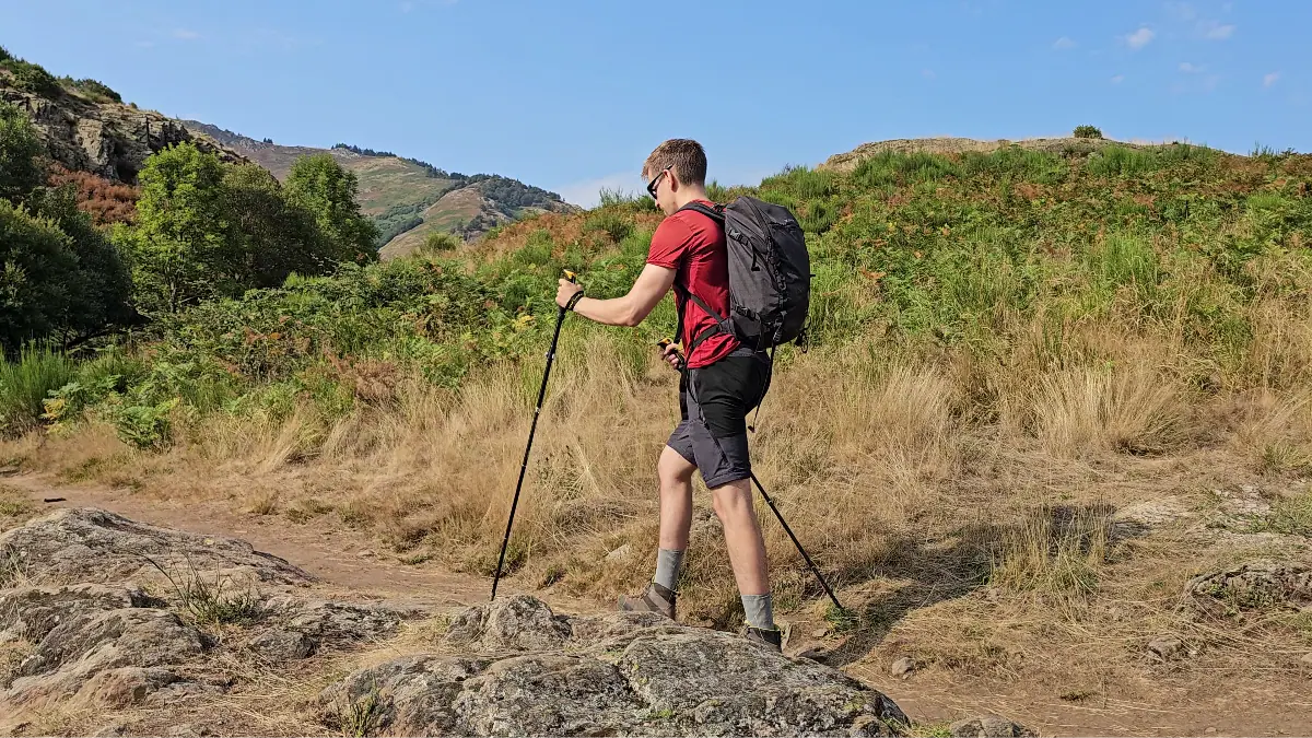 Cómo usar bastones de trekking: técnica, ajuste y consejos prácticos paso a paso 🌿