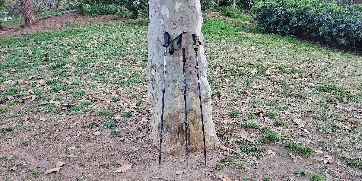 Cómo elegir bastones de trekking: tipos, materiales y consejos